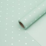 Пленка упаковочная для цветов и подарков Точки, 65 мкр, 58см / 10м ± 5% (VH2551 пастельно-зеленый с белыми точками)