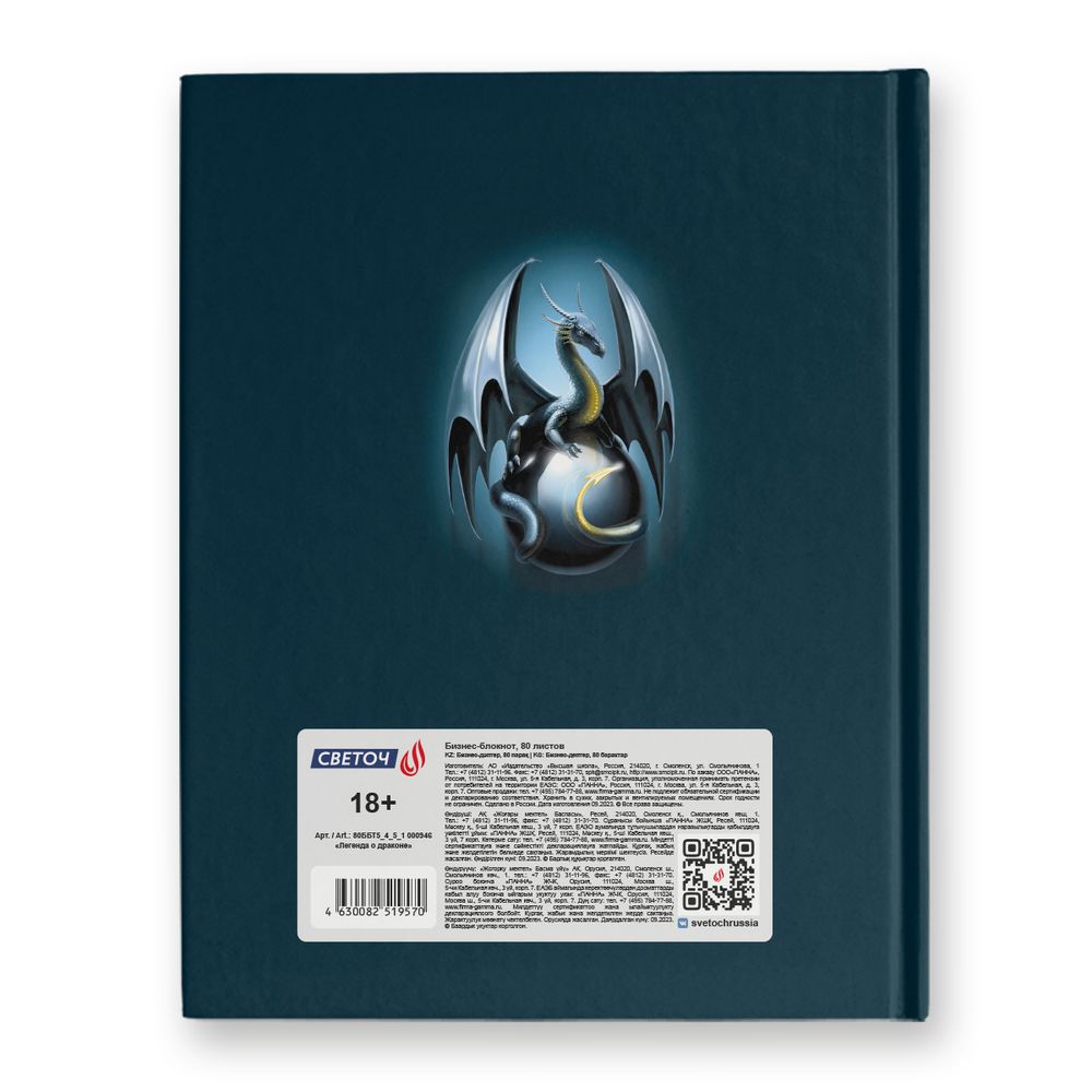 Бизнес-блокнот, глянцевая ламинация, A5+ 80 л. 22 шт, клетка, Легенда о драконе 000946, Светоч 80ББТ5_4_5_1