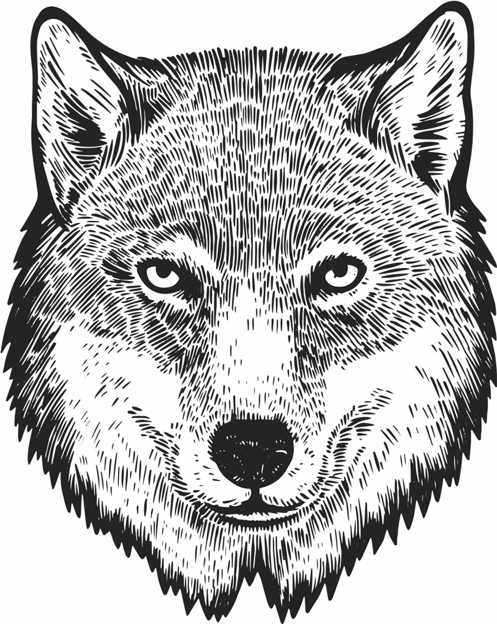 Термоаппликация Gamma Термотрансфер M №05, 1 шт, M-523 Волк 10х12.5 см