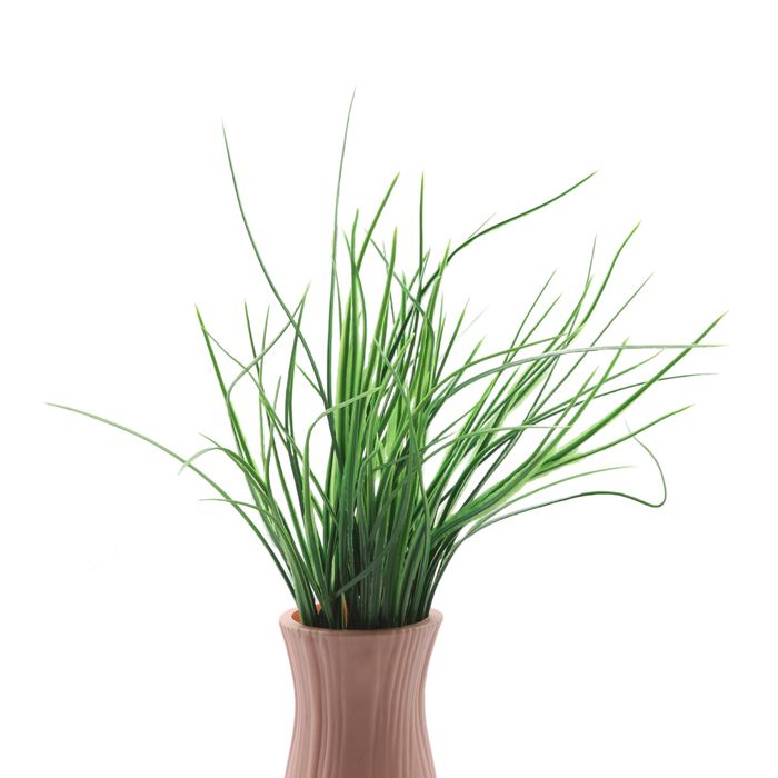 Флористика