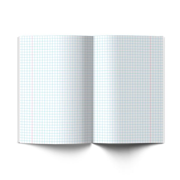 Комплект предметных тетрадей Грызем гранит науки A5+ 48 л. 12 шт, на скобе клетка/линия, Алгебра, Английский, Биология, География, Геометрия, Физика, Химия, История, Русский, Литература, Обществознание, Информатика, Светоч