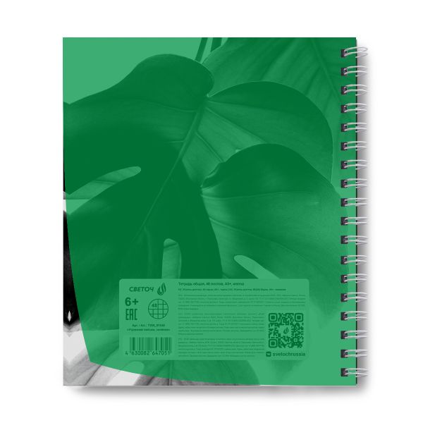 Тетрадь общая с пластик. обложкой, ч/б запечат. титульн.лист, 180 мкм, A5 48 л. на гребне 65 г/м², белизна 100% 4 шт клетка, 01548 Утренний пейзаж, зелёная, Светоч Т208
