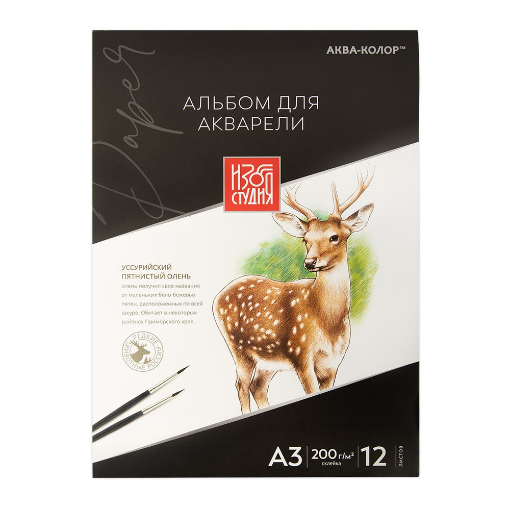 Альбом для акварели 200 г/м², А3 30х40 см, склейка с трех сторон 12 л, гознак тисненая, Аква-колор Изостудия