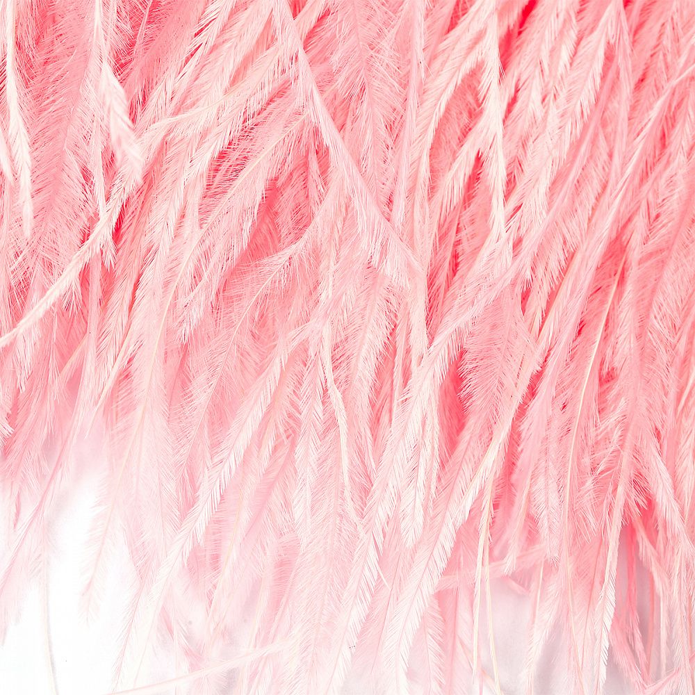 Перья на ленте Страус 15 см, FBY-15-123, цв. нежно-розовый, 2м