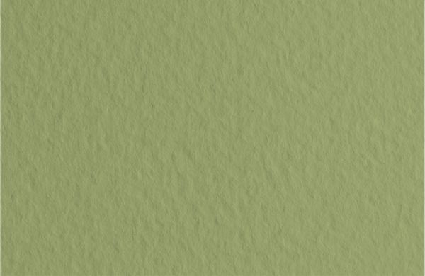 Бумага для пастели 160 г/м², 70х100 см, 10 листов, Muschio/оливковый, Fabriano