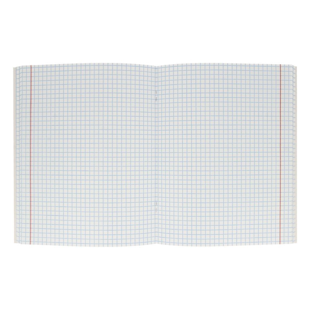 Тетрадь Ботаника A5 96 л. на скобе 60 г/м², 6 шт, клетка, SVT 960621 04 полоски, цветы, Светоч