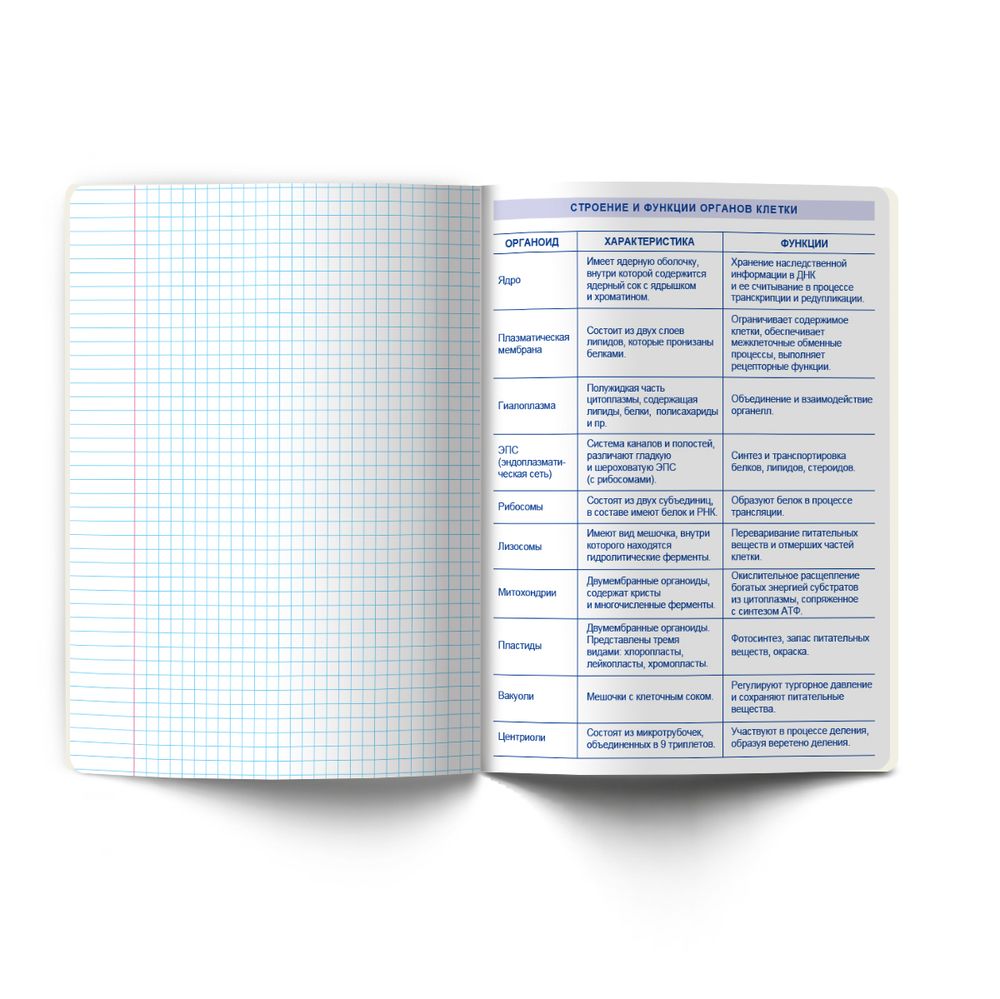 Тетрадь со справ.материал. Архивариус пластик.обл. 320мкм с тис.золот.фольгой. A5 48 л. на скобе 65 г/м², белизна 100% 10 шт, клетка, 01873 Архивариус Биология, Светоч Т290