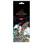 Набор цветных карандашей заточенный 4х24 цв, Vista-Artista INTENSE VICP-24