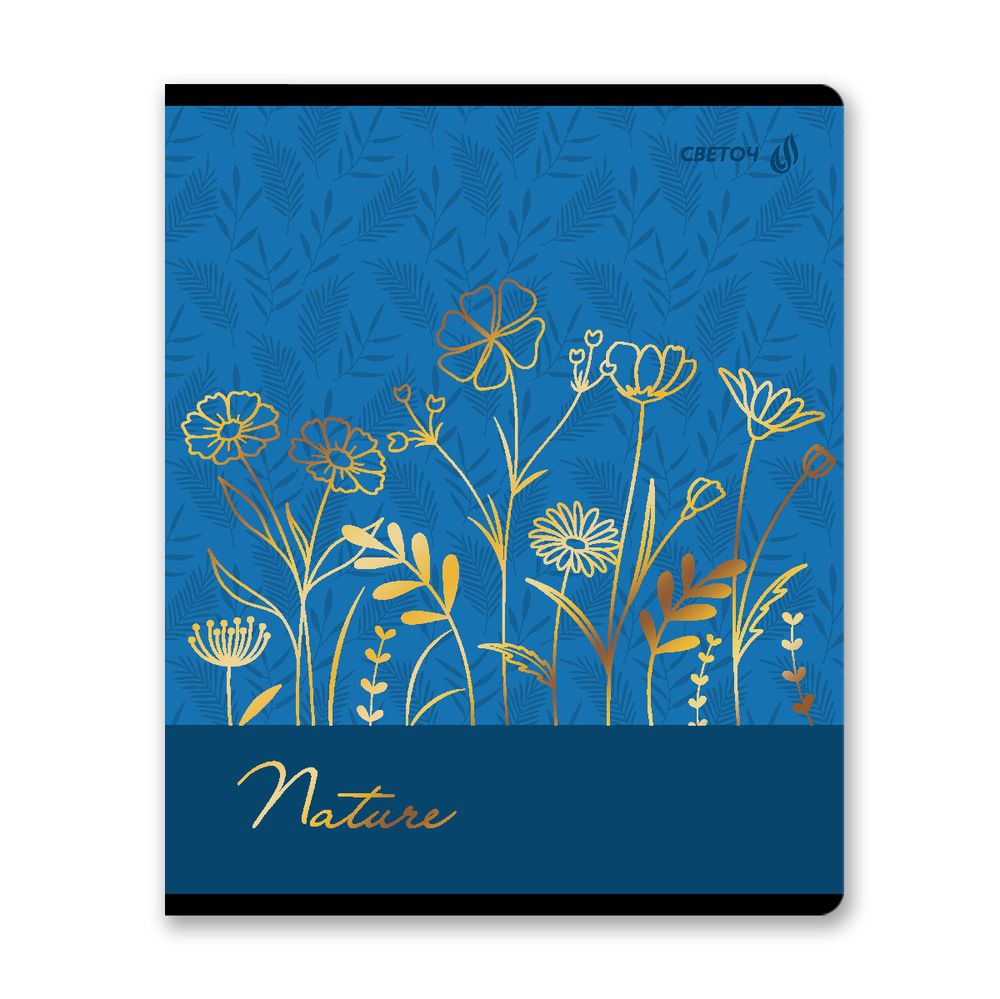 Тетрадь ученическая общая, тиснение золотой фольгой, A5 48 л. на скобе 65 г/м², белизна 100% 10 шт клетка, 01514 Золотые моменты, Светоч Т199