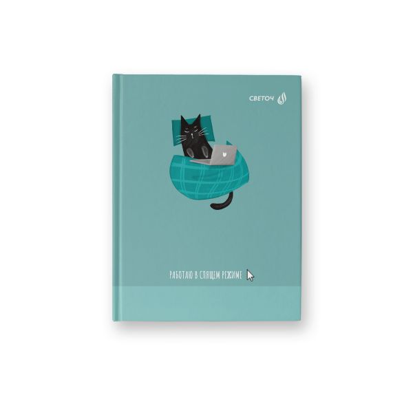 Бизнес-блокнот, матовая ламинация +выборочный лак, A6 64 л. 24 шт, клетка, Работаю в спящем режиме 000907, Светоч 64ББТ6_93_5_1