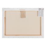 Холст грунтованный на подрамнике 50х70 см, 320 г/м², 2 шт, Плещеевский мелкозернистый, Vista-Artista ACFG-5070