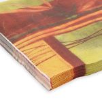 Салфетки 33х33см, 2-х слойные AY, 20 шт/упак (AY-2004)