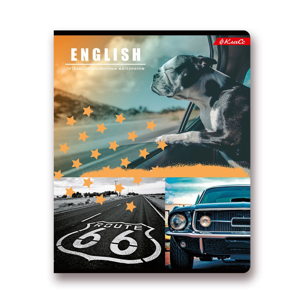 Тетрадь предметная Разные интересы A5+ 48 л. на скобе, 10 шт, клетка, Английский язык 48ТСК5 000148, Светоч