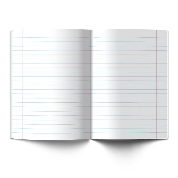 Тетрадь ученическая школьная A5+ 12 л. на скобе 65 г/м², белизна 100%, 25 шт, линия, 000698 Самурай, Светоч 12ТЕТл-001