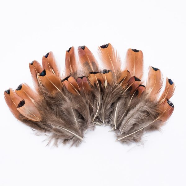 Перо фазана обработанное, 7-10см, 20 шт, XQ-660384