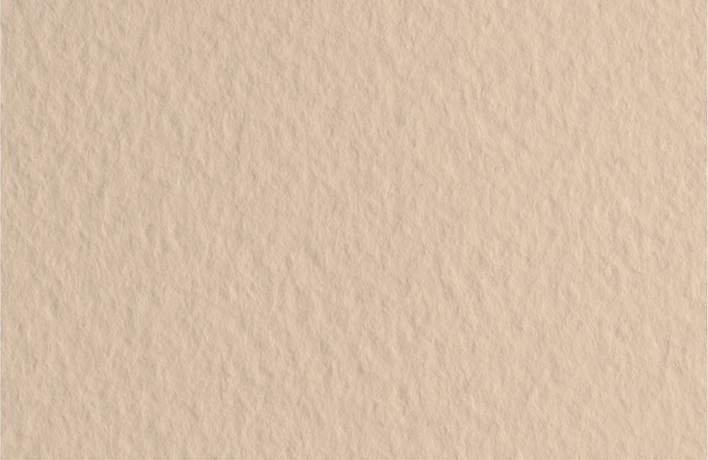 Бумага для пастели 160 г/м², 50х65 см, 10 листов, Avorio/Цвет слоновой кости, Fabriano Бумага для пастели 160 г/м², 50х65 см, 10 листов, Avorio/Цвет слоновой кости, Fabriano