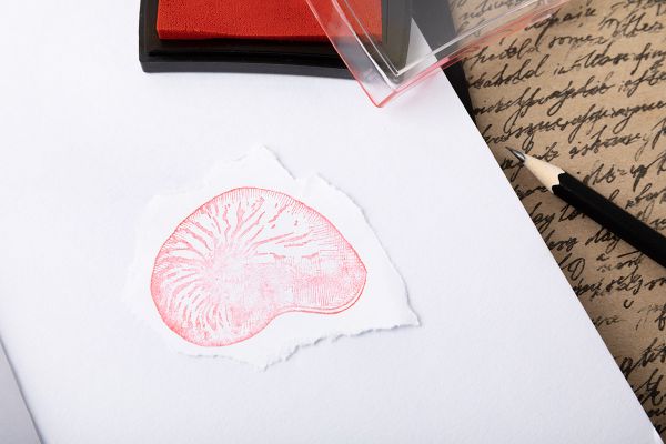 Штамп 5.8х5.8 см, 07 Морская раковина, Mr.Painter TSM-03