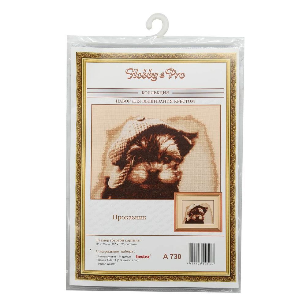 Набор для вышивания нитками Hobby&Pro, Проказник, 35х23 см