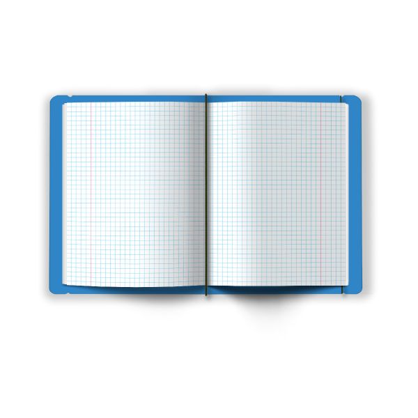 Тетрадь общая в съёмной пластик. обложке на резинке, тиснение фольгой, 500 мкр, A5+ 48 л. папка 65 г/м², белизна 100%, 4 шт, клетка, 000677 Голубая, Светоч ТЕТ48-001