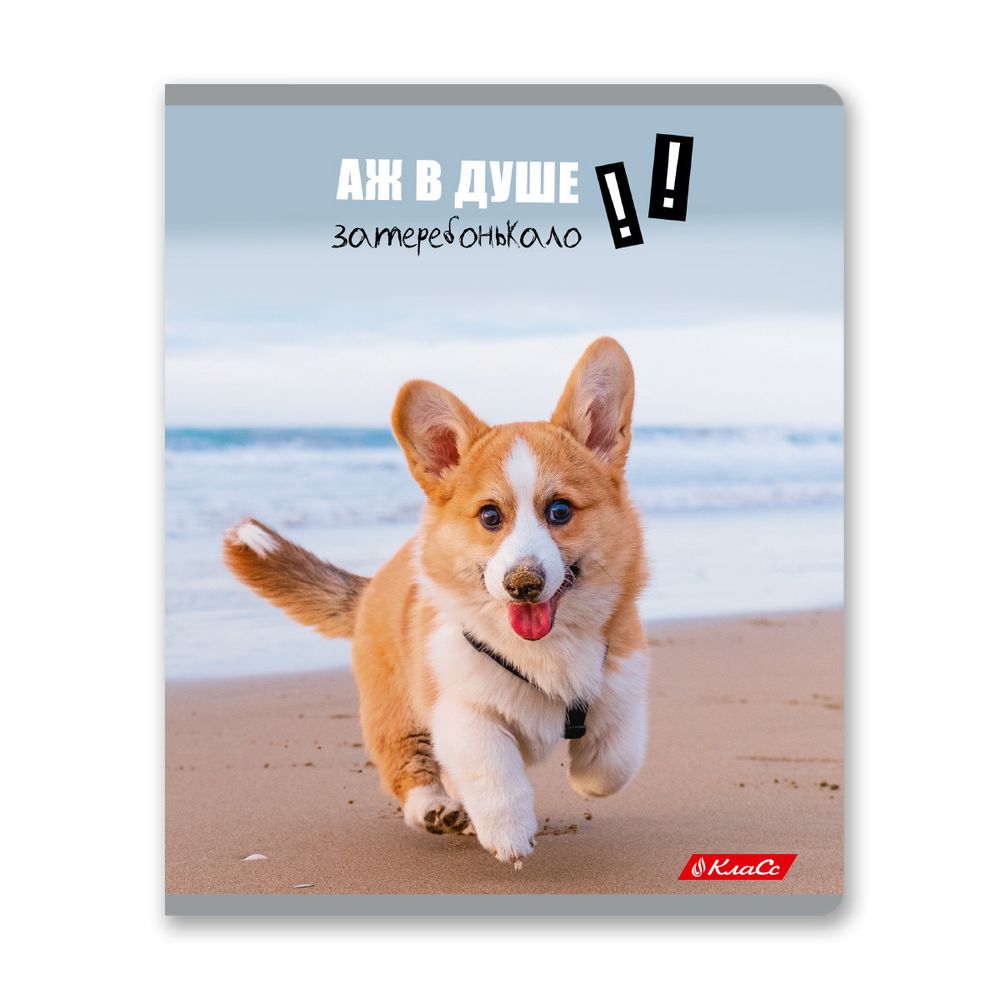 Тетрадь ученическая общая, A5+ 48 л. на скобе 65 г/м², белизна 100%, 10 шт, клетка в термоусадочной пленке, 000752 Смешные и шерстяные, Светоч 48ТЕТк-001