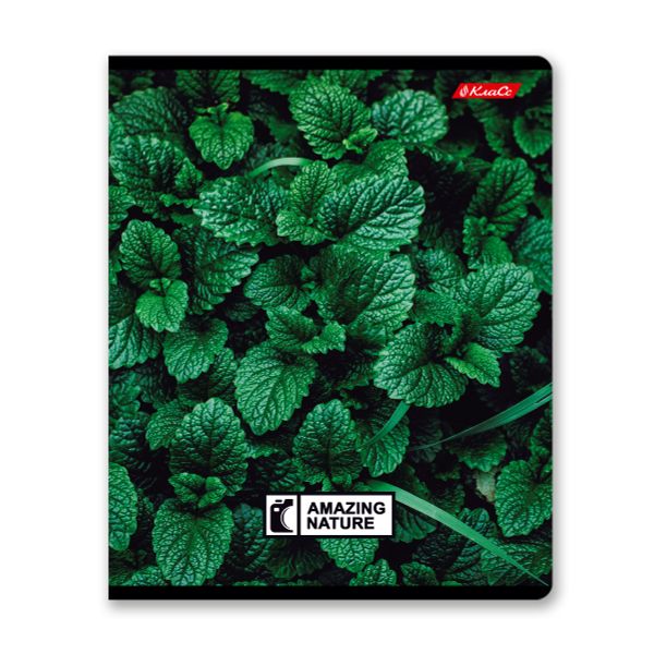 Тетрадь ученическая общая, твин лак, A5+ 60 л. на скобе 65 г/м², белизна 100%, 10 шт, клетка в термоусадочной пленке, 000477 Биосфера, Светоч 60ТСК5_8_2_1