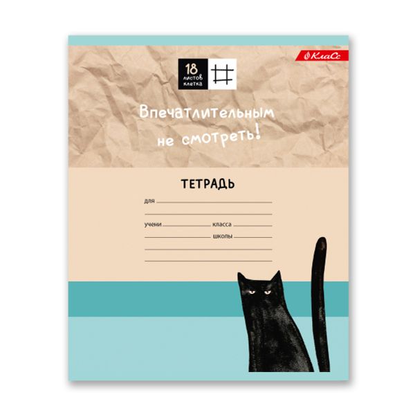 Тетрадь ученическая школьная A5+ 18 л. на скобе 65 г/м², белизна 100%, 20 шт, клетка, 000365 Всё получится, Светоч 18ТСКд5_1_3_1