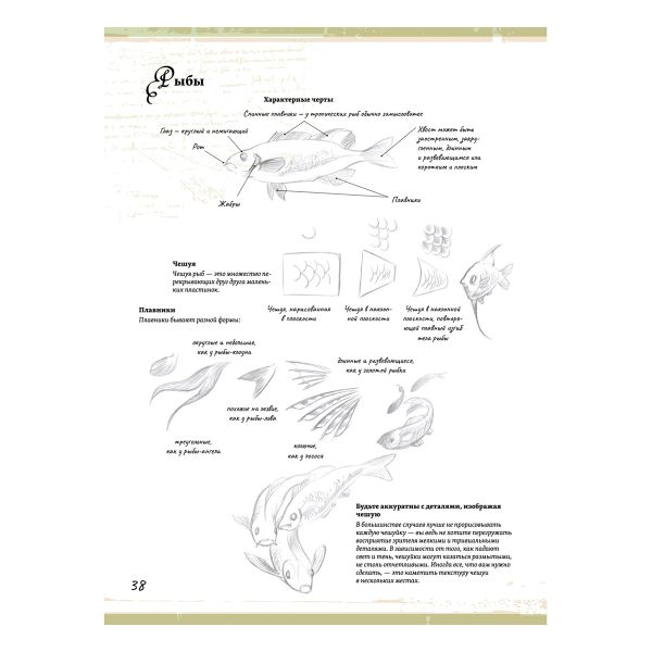 Книга. Создание фантастических существ и животных с помощью акварели, 978-5-00116-798-3 К31065