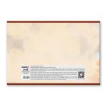 Альбом для рисования 100 г/м², A4 29.5х20.2 см, 24 л. на скобе 5 шт, 01695 На опушке, Светоч А254