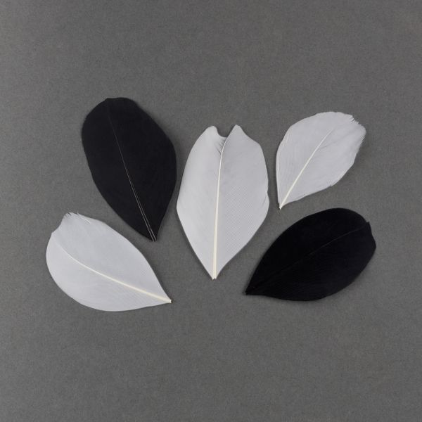 Перья декоративные 5-6 см, 5х3 г,±0.5 г, 03 белый/ черный, Mr.Painter PLU-06