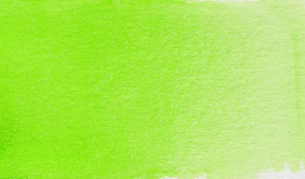 Краска акварель художественная, кювета 2.5 мл, 622 майская зеленая, Vista-Artista VAW