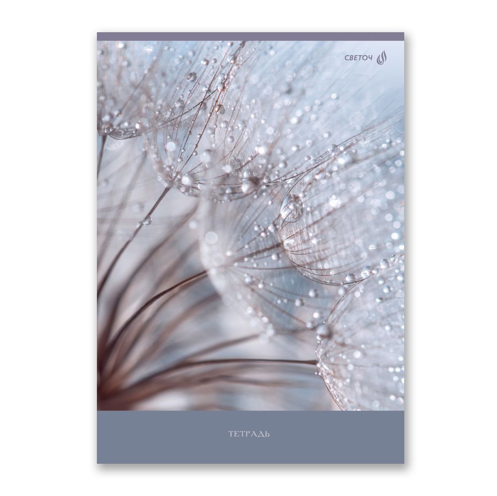 Тетрадь ученическая общая, A4 96 л. на скобе 65 г/м², белизна 100 %, 6 шт, клетка, 01351 Утренняя роса, Светоч Т156