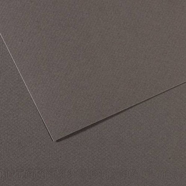 Бумага для пастели Mi-Teintes 160 г/м², 50х65 см, 10 л, №345 Серый темный, Canson, C31032S100