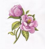 Набор для вышивания нитками Panna, Магнолия, 16х19 см