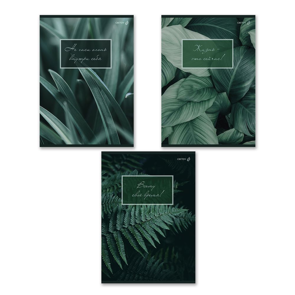 Тетрадь ученическая общая, A4 48 л. на скобе 65 г/м², белизна 100% 6 шт клетка, 01753 Малахитовая симфония, Светоч Т152