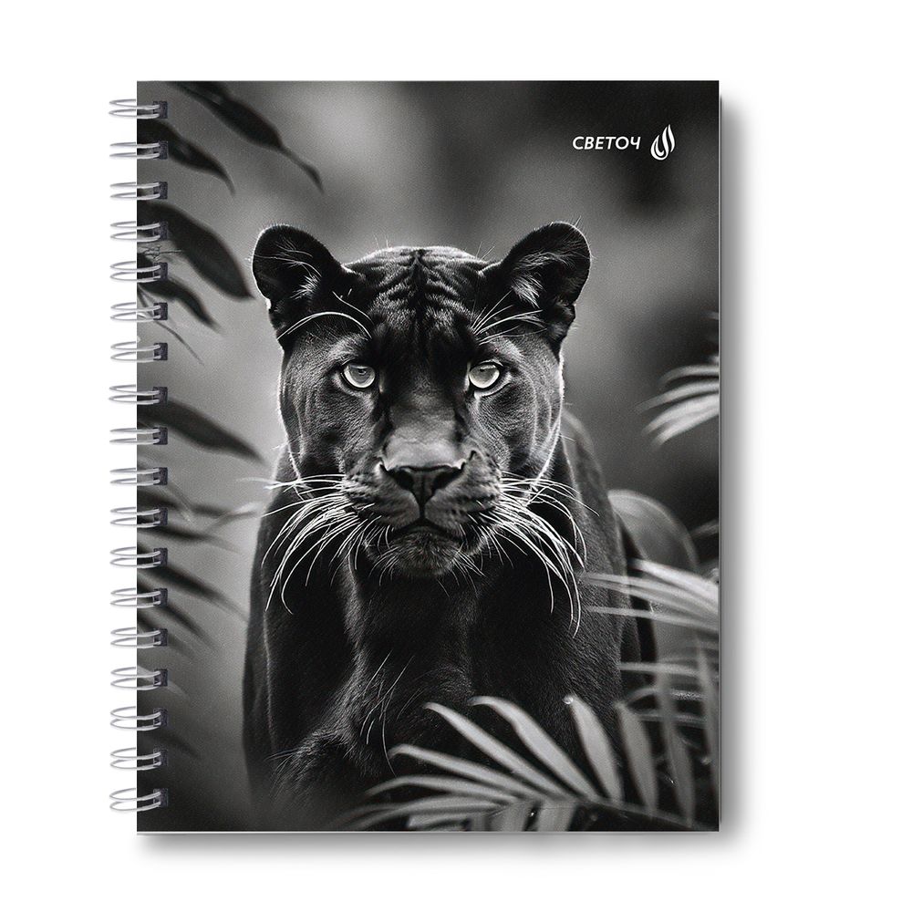 Тетрадь общая с твердой обложкой, матовая ламинация A5 120 л. на гребне 65 г/м², белизна 100% 4 шт клетка, 01553 Чёрная кошка, Светоч Т209