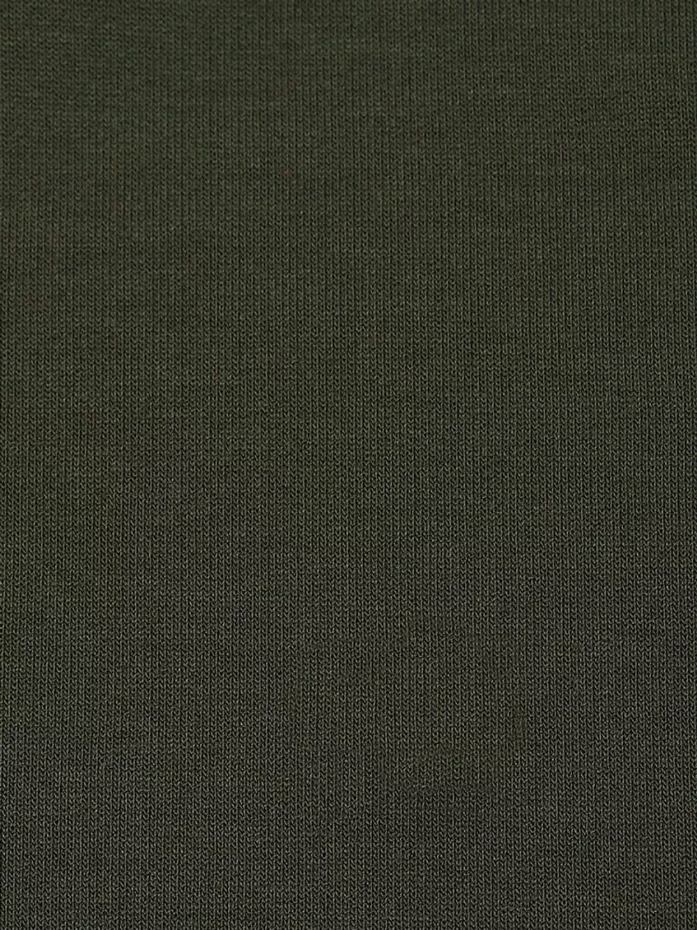 Футер 2-нитка петля поливискоза стрейч 220 г/м², 160 см / 3 метра, ФУТ2Х.TBY.ПЭ-ВИС.S096.3, цв.S096 хаки