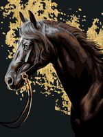 Картина по номерам Фрея PNB/PMPT-275, Вороной скакун, (эффект черного холста с поталью) 40х30 см