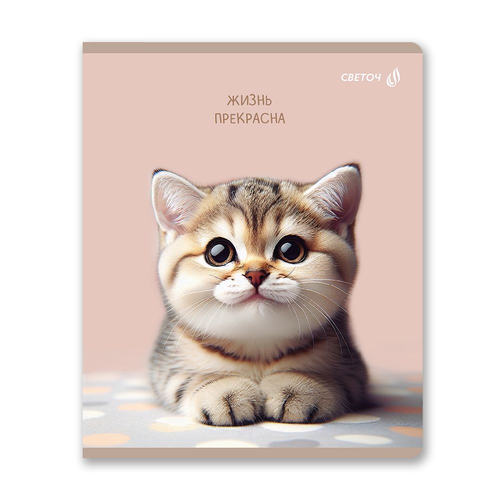 Тетрадь ученическая общая, глянцевая ламинация A5 80 л. на скобе 65 г/м², белизна 100% 5 шт клетка, 01527 Жизнь хороша!, Светоч Т203