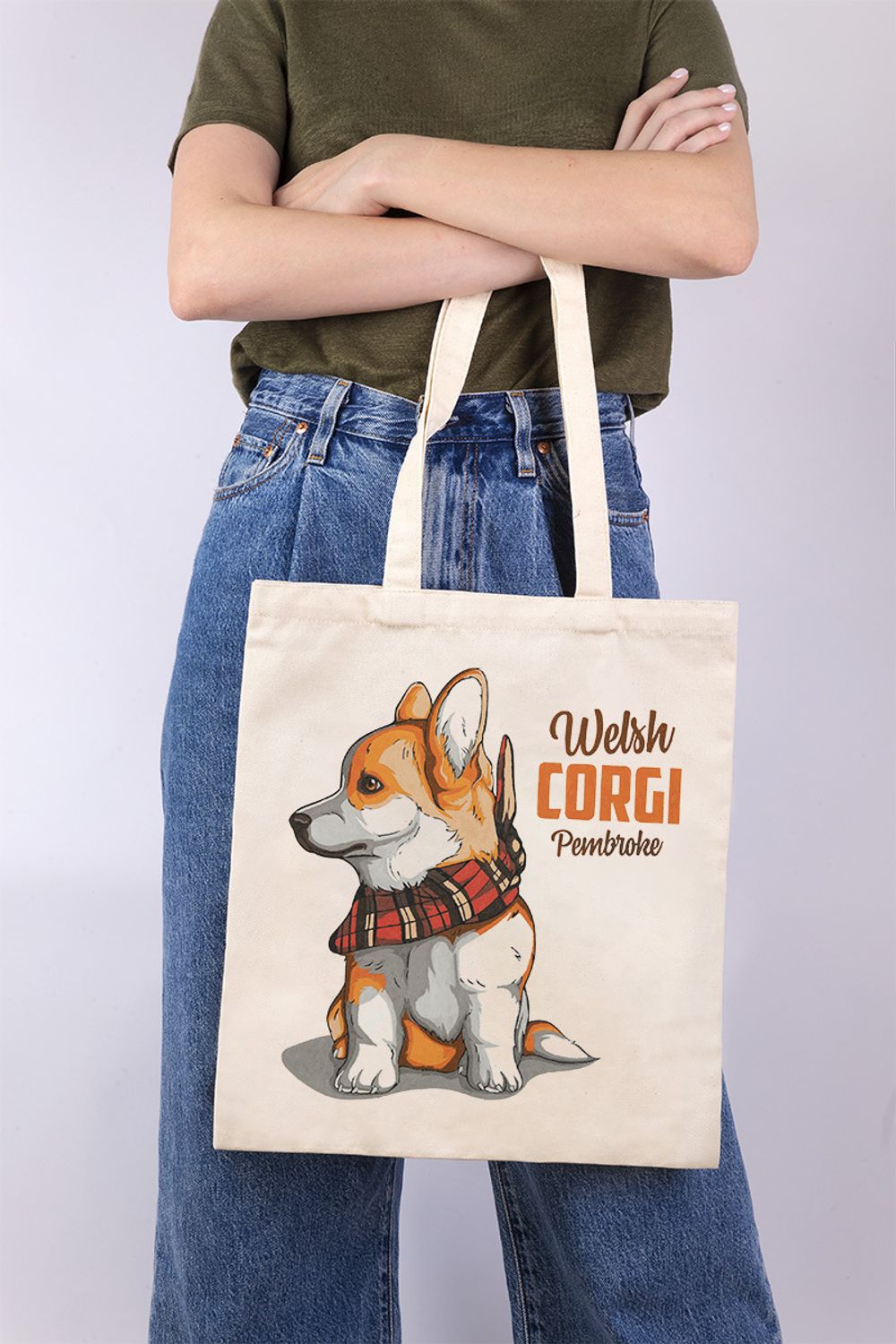 Раскраска на сумке Фрея RWCB-008, Шотландский корги