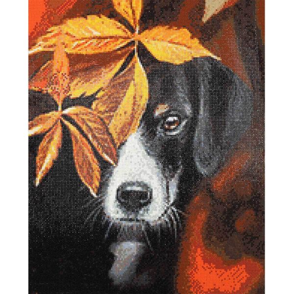 Алмазная (кристальная) мозаика Cristyle, Друг, 40х50 см