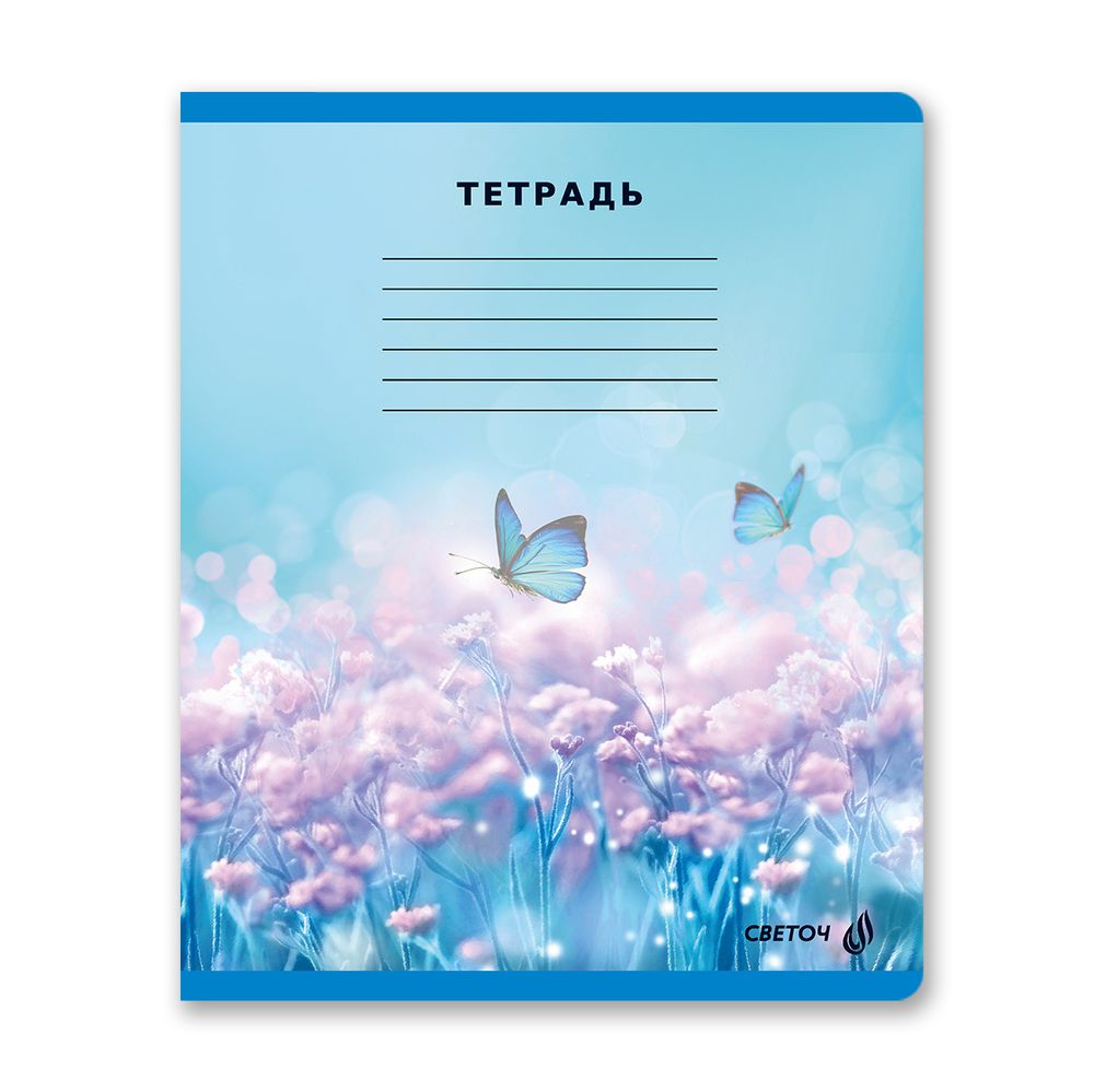 Тетрадь ученическая школьная, A5 12 л. на скобе 65 г/м², белизна 100% 25 шт линия, 01439 МИКС - Бесконечность, Светоч Т178