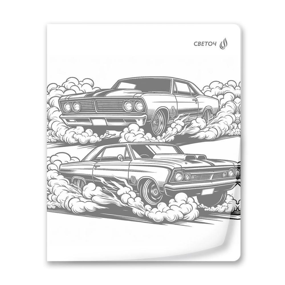 Тетрадь общая с пластик.обложкой 180 мкм, ч/б запечат. титульн.лист, A5 48 л. на скобе 65 г/м², белизна 100% 10 шт клетка, 01495 МИКС - Чёрно-белый мир, Светоч Т196