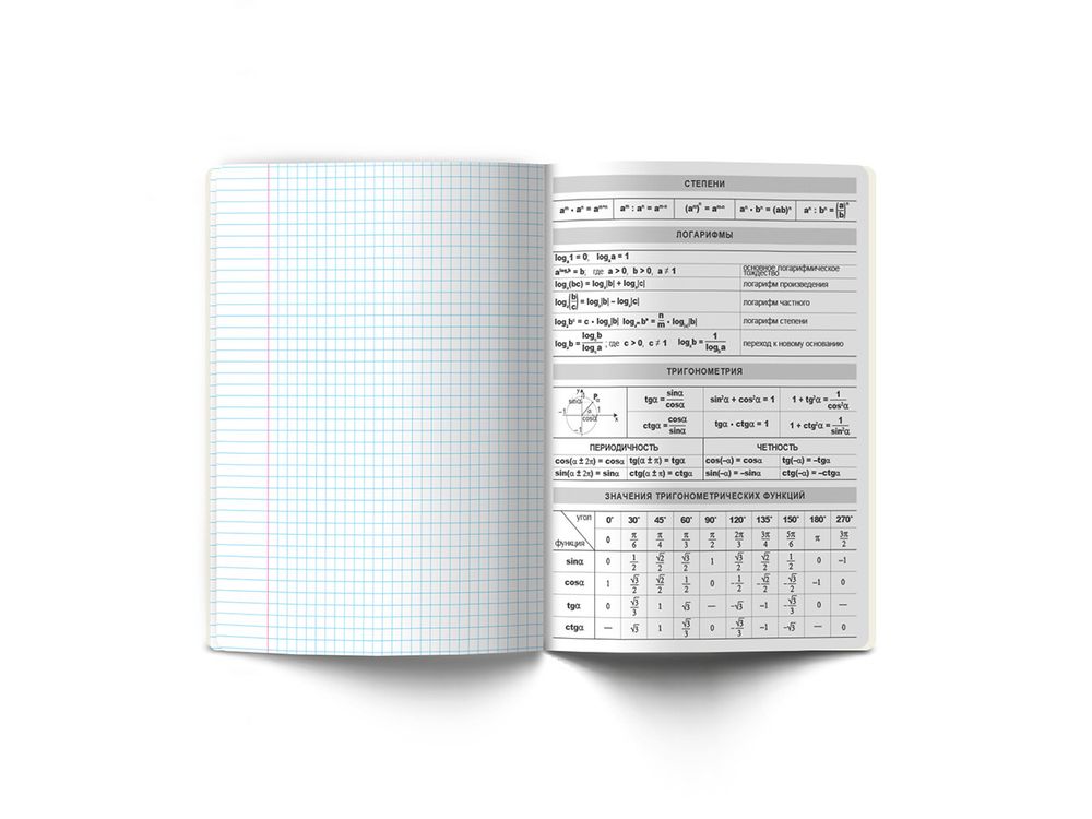 Комплект тетрадей со справочным материалом Время действовать, твин лак, A5+ 48 л. 12 шт, на скобе 65 г/м², белизна 100 %, клетка/линия, 01055 12 предметов, Светоч 48К39