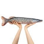 Набор для шитья игрушки Рыба-щука 62х16.1 см, Miadolla IAS-013