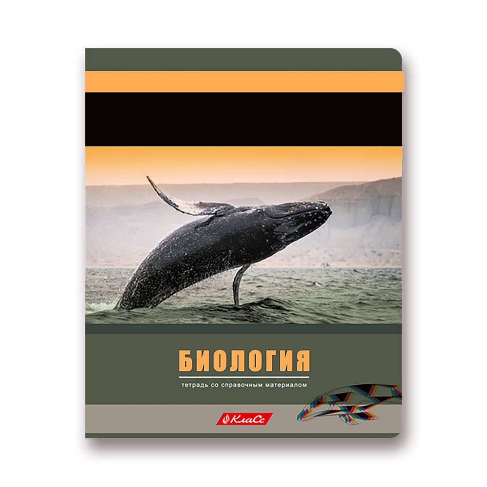 Тетрадь предметная Разные интересы A5+ 48 л. на скобе, 10 шт, клетка, Биология 48ТСК5 000149, Светоч