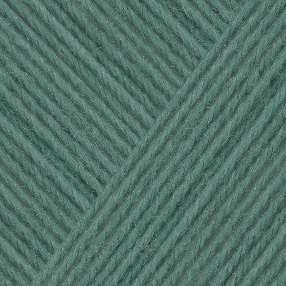 Пряжа Schachenmayr (Шахенмайер) Regia Premium Cashmere, 4 нитки, 100г, 400м, 9801637, 00065 /TOS/