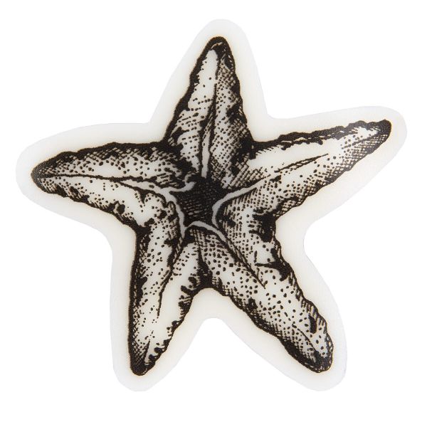 Штамп 5.8х5.8 см, 04 Морская звезда, Mr.Painter TSM-03