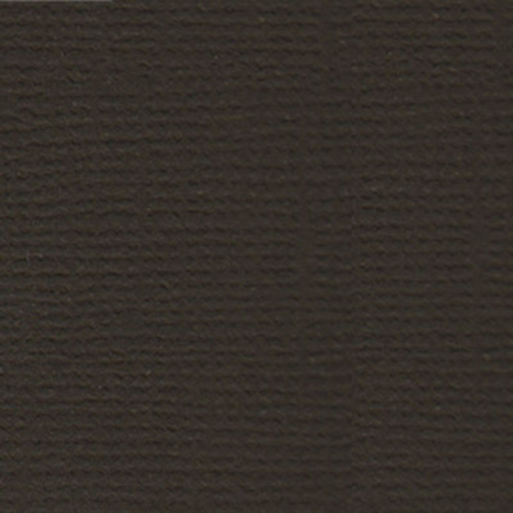 Бумага для скрапбукинга 216 гр/м², 30.5х30.5 см, 10 шт, 24 Горький шоколад (т.коричневый), Mr.Painter PST