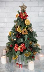 Украшение декоративное Сушеный апельсин 50 шт (5х10 шт), Blumentag DOJ-01