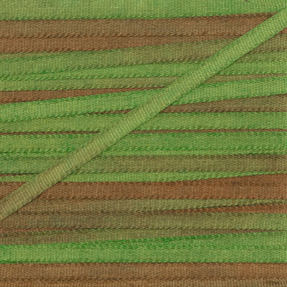 Лента (тесьма) шелковая 2.0 мм / 9.1±0.5 метров, M133 св.зеленый/коричневый, Gamma SRM-2